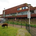 Anketa: Co vás během studijní cesty Eduzměny do Nizozemska ve zdejších školách zaujalo?